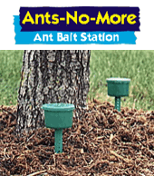 ANT NO MORE STATIONS box of 12 pest control supply store