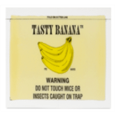 CATCHMASTER TASTY BANANA GLUE box of 72 pest management supply