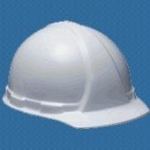 HARD HAT ea pest product store