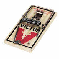 Victor spring mouse trap DIY pest control products