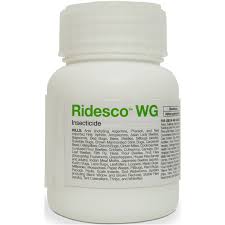 Ridesco WG - 190gm